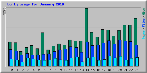 Hourly usage for January 2018